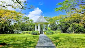 Singapore Botanic Gardens
